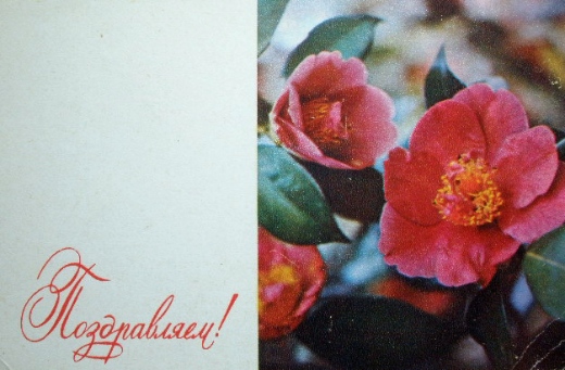 Старые почтовые открытки СССР "Поздравляю!"