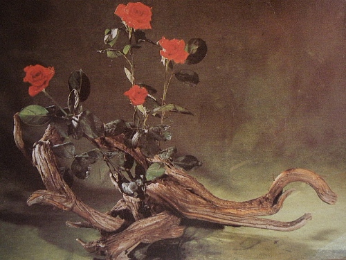 Старые открытки СССР Цветы (Розы)