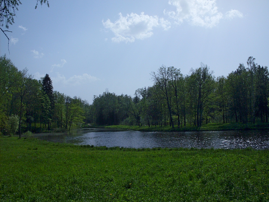 Ламской пруд в г. Пушкине
