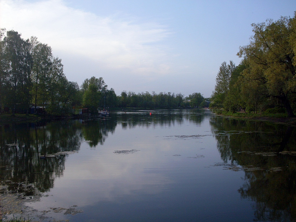 Колонистский пруд в г. Пушкин 2014 год
