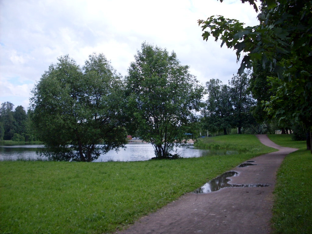  Колонистский пруд в Нижнем парке г. Пушкина