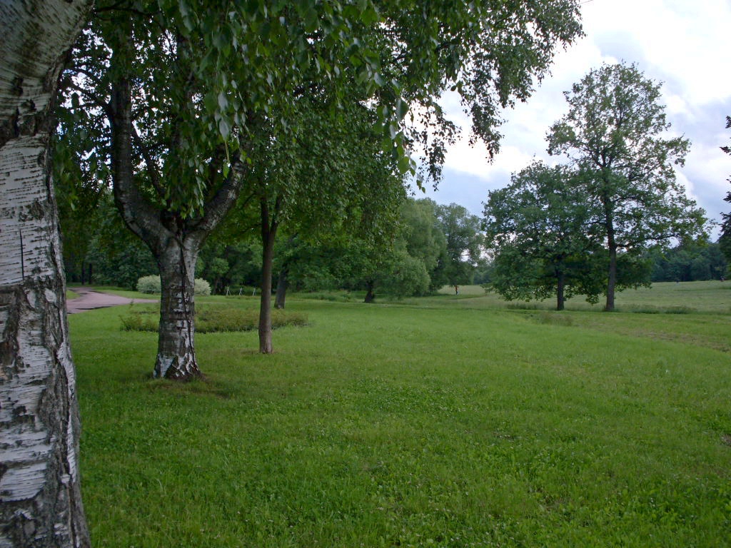 Отдельный (Нижний) парк в Царском Селе