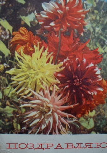 Советские почтовые открытки "Поздравляю!"