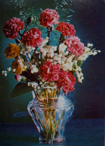 Старые открытки СССР - Цветы разные. Натюрморты